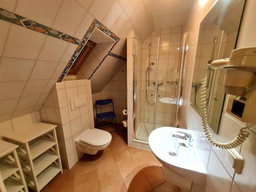 a bathroom with a sink and a shower and a toilet at Hus Sünnschien in Alt Reddevitz