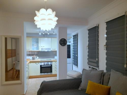 阿里納加的住宿－Apartamento Ocean，带沙发的客厅和厨房