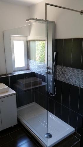 ein Badezimmer mit Dusche mit Glastür in der Unterkunft Villa Bianca Karin in Gornji Karin