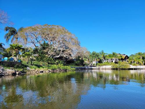 a body of water with a tree and some trees at Sneaky Tiki: Heated Saltwater Pool+5 min to beach in Largo