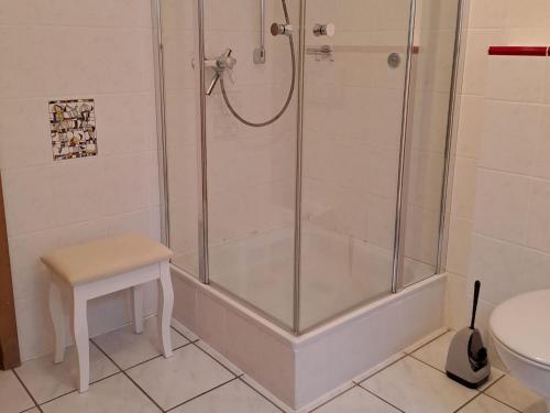 a bathroom with a shower with a stool and a toilet at Ferienwohnung Fischer in Heringhausen