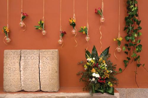 a wall with a bunch of flowers and plants at Izan Trujillo in Trujillo