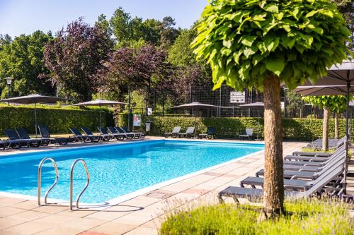 a swimming pool with lounge chairs and a tree at Vakantiepark Molenvelden in Veldhoven