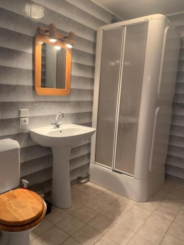 W łazience znajduje się umywalka, prysznic i toaleta. w obiekcie Pear Tree B & B w mieście Montembœuf