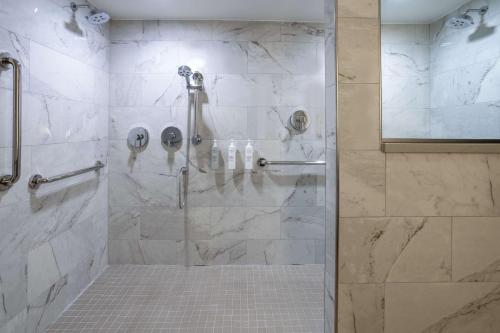 中央谷地的住宿－哈里曼伍德伯里漢普頓酒店，带淋浴的浴室和玻璃门