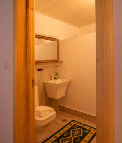 a bathroom with a white toilet and a sink at Fexada Home in Vama
