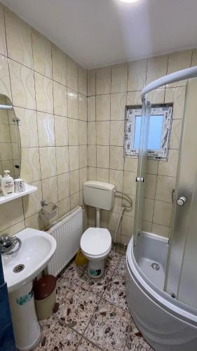 a bathroom with a toilet and a sink and a shower at La Perla in Moieciu de Sus