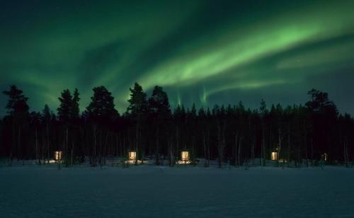 uma aurora brilha no céu sobre uma floresta em Skyfire Village Igloos em Rovaniemi