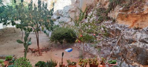 Gallery image of La Rupe e il Giardino in Manfredonia