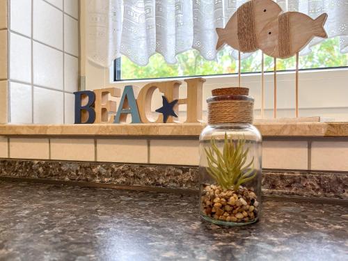 a glass jar with a plant in it on a counter at Sünnslag Wohnung 092 in Boltenhagen