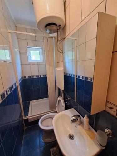 a bathroom with a sink and a toilet and a shower at Apartments HN in Igalo