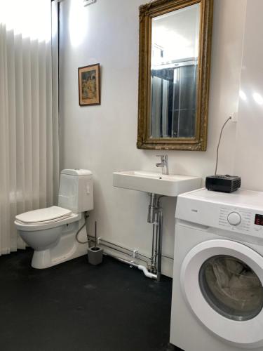 ストックホルムにあるExclusive 2 level Etage next to Arlanda-City Metroのバスルーム(トイレ、洗面台、洗濯機付)