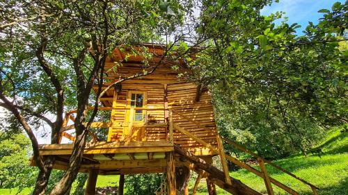 a tree house in the middle of a tree at Apple Tree Cabin (Friendship Land) 