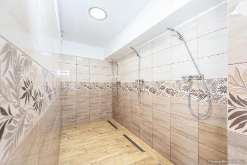 a bathroom with a shower and a walk in shower at Elim Residence in Mănăstirea Humorului