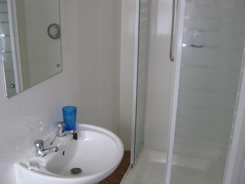 a bathroom with a sink and a shower at Franklin Hotel in Blackpool