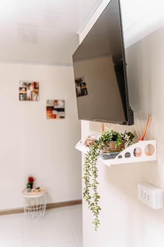 a flat screen tv on a wall with plants at 2 Cabañas para 5 Personas Oasis Pica-Matilla in Pica
