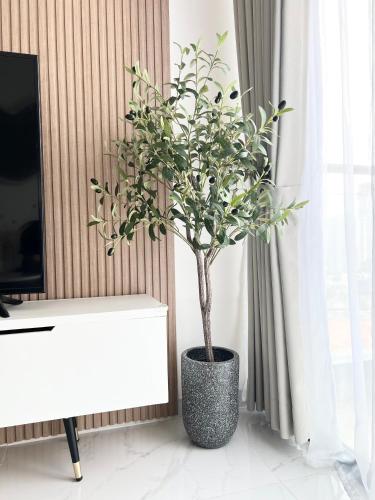 a potted tree in a vase next to a window at Apartement 2BR sky house BSD in Cilenggang