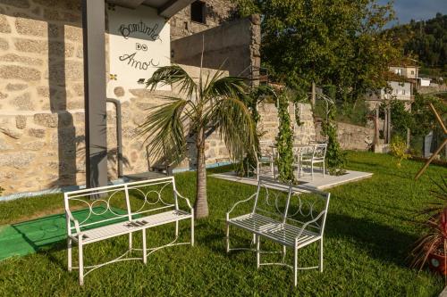 two chairs and a palm tree in front of a building at Quinta Flor de Lis, Gerês in Vieira do Minho