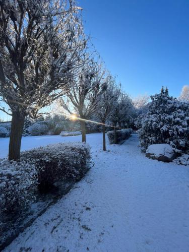a snow covered path with trees and bushes at Hotel Platan in Gdańsk