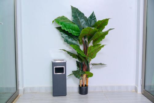 a plant in a vase next to a machine at 1 Bedroom Suite In 3 Bedroom Apartment in Namulanda