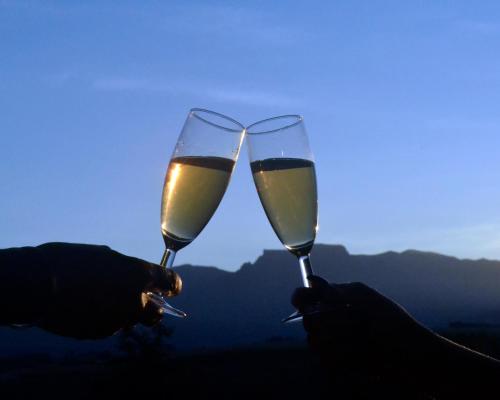 The Nest Drakensberg Mountain Resort Hotel في Champagne Valley: شخصين يحملون كؤوس من النبيذ