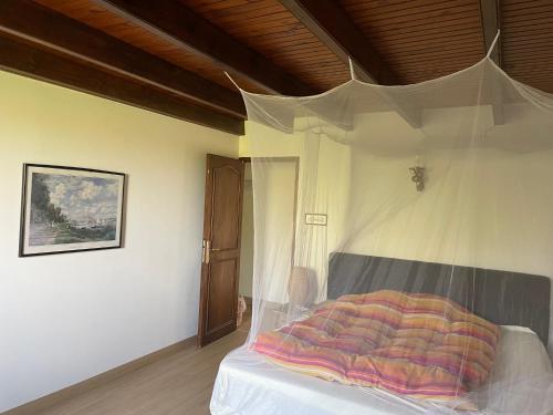 Photo de la galerie de l'établissement Las Vignes Zimer 1 - Où le calm apaise l'âme, à Cazes-Mondenard