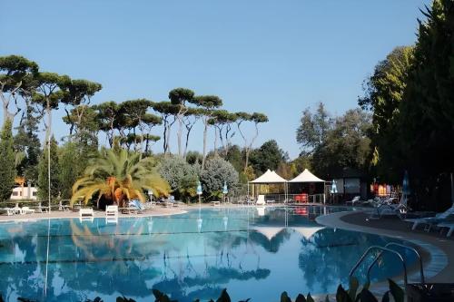 een zwembad in een resort met palmbomen bij Familie Chalet in Toscane aangeboden door MiCasaToscana in Viareggio