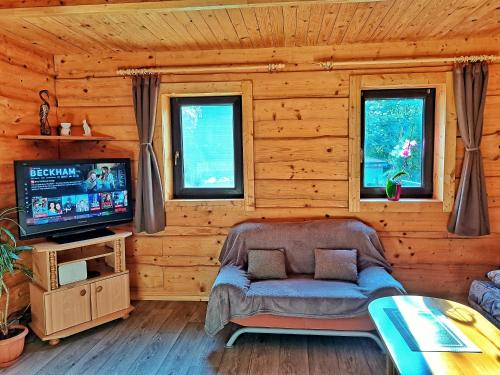 a living room with a couch and a television at Chata pri Kaštieli 