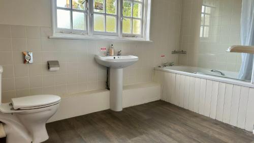 uma casa de banho com um lavatório, um WC e uma banheira em The Cricketers Inn em Winchester
