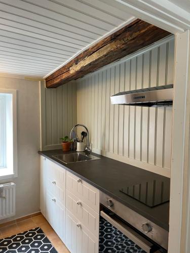 eine Küche mit einer Spüle und einer Arbeitsplatte in der Unterkunft Historical idyll from the 17th century in Strängnäs