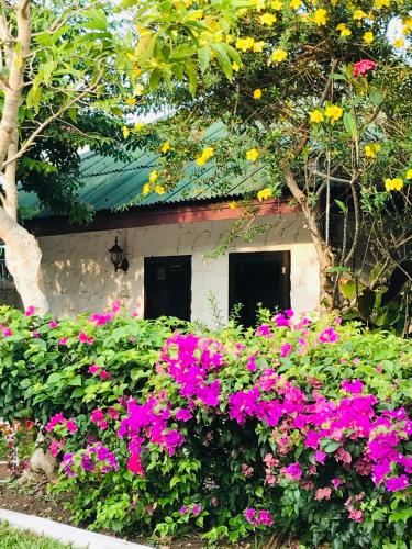 a garden of flowers in front of a house at Guest House, shared pool, private bathroom and kitchen in Phuket