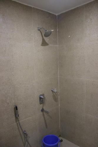 łazienka z prysznicem z ptakiem na ścianie w obiekcie White Coral w mieście Port Blair