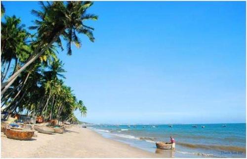una playa con palmeras y el océano en Nhà Nghỉ Việt Thắng, en Bàu Dòi