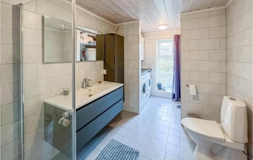a bathroom with a shower and a sink and a toilet at Cozy Home In Svingvoll With Wifi in Svingvoll