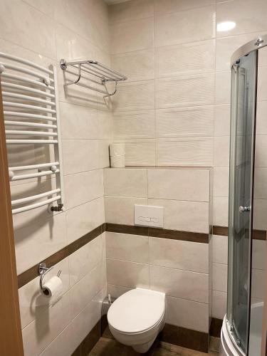 a small bathroom with a toilet and a shower at Geovita w Jadwisinie in Jadwisin