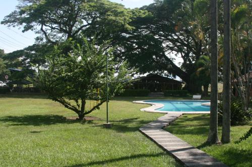 una piscina en un patio con un árbol en Habitacion Casa Campestre con piscina en Buga, 