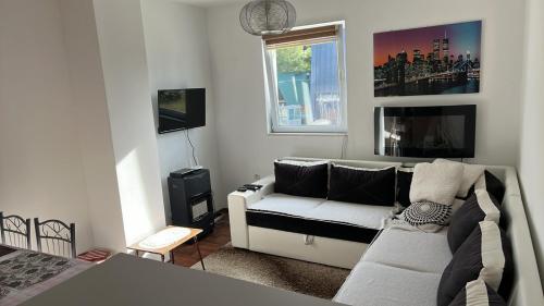 a living room with a couch and a tv at Apartman Vlašić Hary in Vlasic