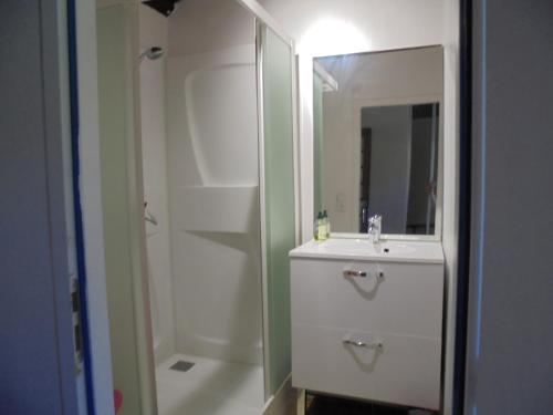 ein Bad mit einem Waschbecken und einer Dusche mit einem Spiegel in der Unterkunft Logement chez l'habitant! in Condéon