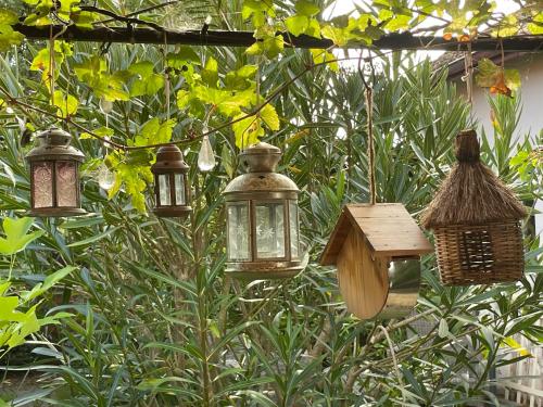 a group of lanterns hanging in a garden at La Chambre Du Voyageur in Soustons