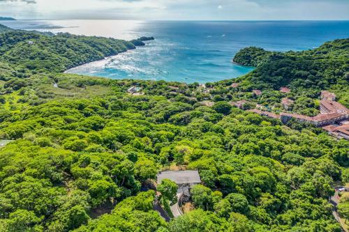 Jungle Sanctuary – Photos 3