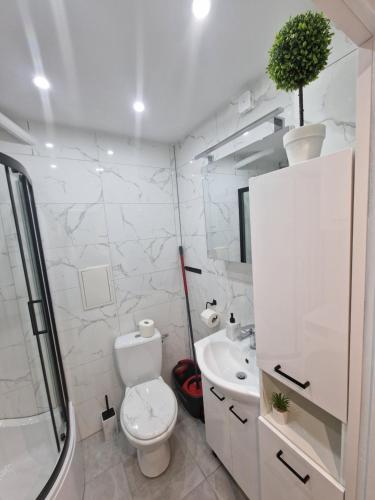 biała łazienka z toaletą i umywalką w obiekcie Apartament ALEX we Władysławowie