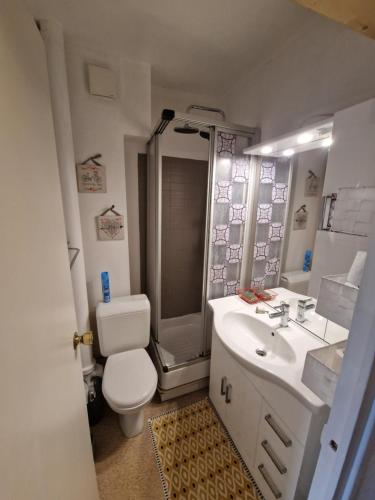 e bagno con servizi igienici, lavandino e doccia. di Studio cosy bois d aurouze a Le Dévoluy