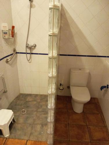 a bathroom with a toilet and a shower at Maittia-Larraona in Larraona