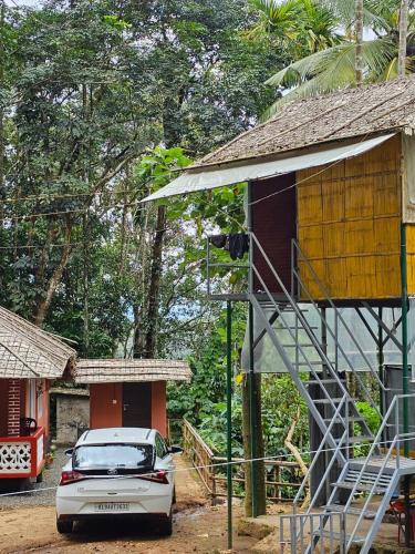 Mamalakandam Tree house – Photos 5