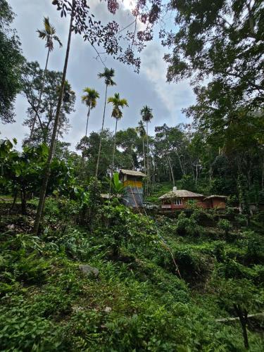 Mamalakandam Tree house – Photos 4