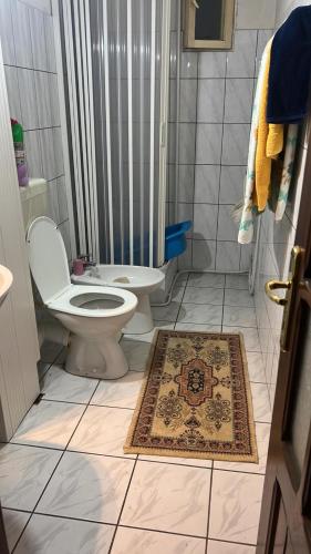 a bathroom with a toilet and a shower and a rug at Elegant Boem Apartment in Focşani