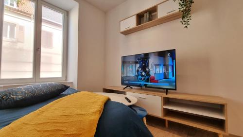 um quarto com uma cama e uma televisão de ecrã plano em Chez Patisa - Business and Tourism - RBNB em Guebwiller