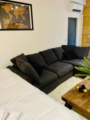 a living room with a couch and a table at Aix-en-Provence, studio atypique quartier hyper centre in Aix-en-Provence