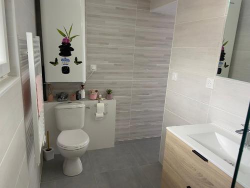 uma casa de banho com um WC e um lavatório em Charmante maison entièrement rénovée cœur de ville em Blois