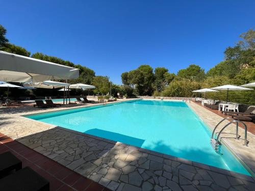 a large swimming pool with blue water at Casette Masseria La Camardia in Sava